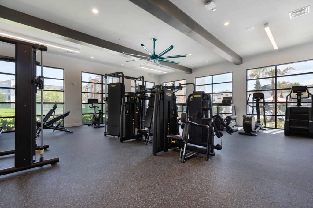 Modern gym with various exercise machines, weight benches, and cardio equipment, surrounded by large windows letting in natural light.